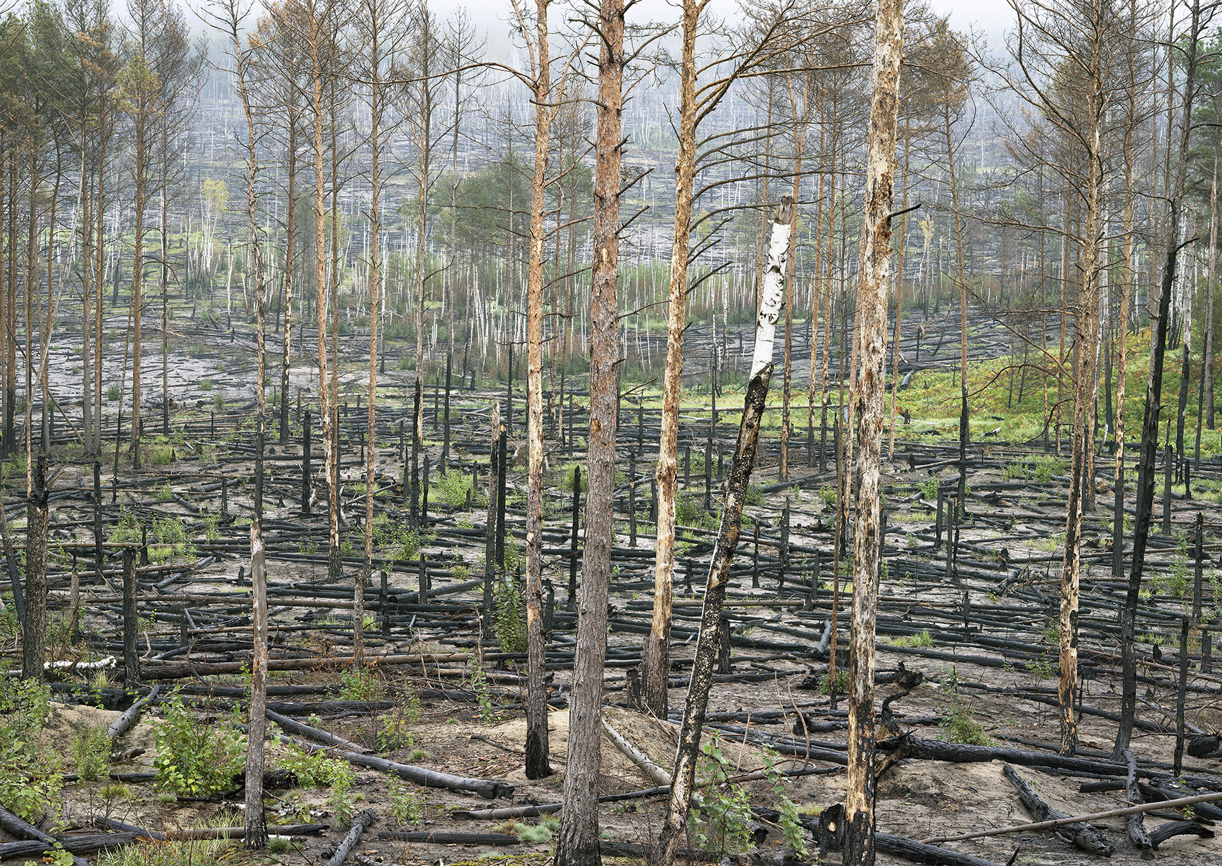Foto: Thomas Wrede