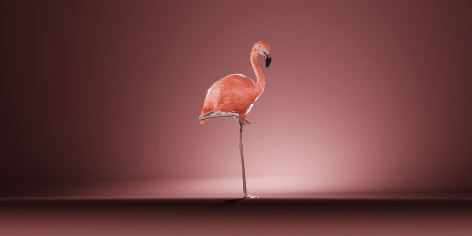 Foto: Finley Hullermann